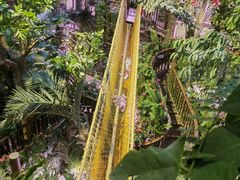 -正佳雨林生态植物园
