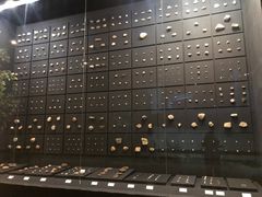 -北京周口店北京人遗址博物馆