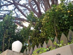 -八大关景区