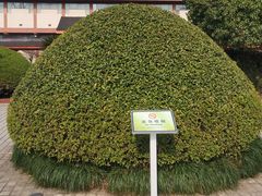 -浙江省博物馆(孤山馆区)