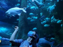 -成都浩海立方海洋公园