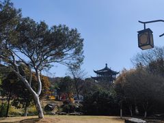-白马涧龙池景区