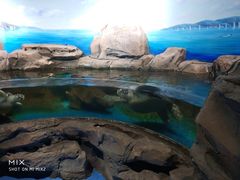 -沙沙哗啦海洋馆(华宇百花谷店)