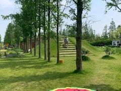 -前小桔亲子创意农场·草莓采摘·露营烧烤