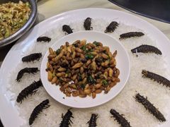 -大笮风(体育馆总店)