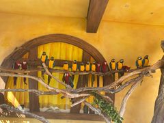 -珠海长隆海洋王国
