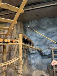 -Zoolung Zoolung动物主题公园(海信广场店)