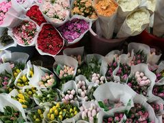 -循礼门鲜花花市(武汉循礼门店)