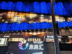 -远洋未来汇