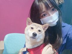 -猫色咖啡·猫咖