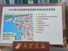 -荷兰花海