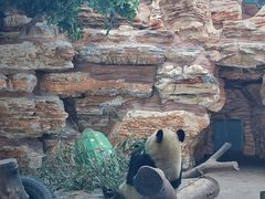 -石家庄市动物园