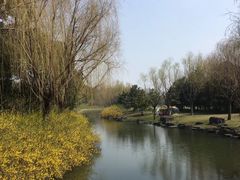 -上海滨江森林公园
