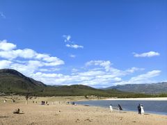 -玉湖村