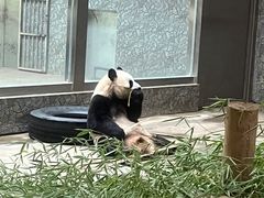 -西安秦岭野生动物园