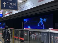 -大望路(地铁站)