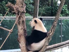 -黔灵山公园