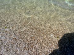 -海岛日记(养马岛店)