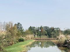 -桤木河湿地公园