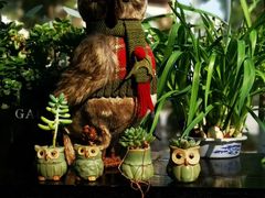 -爸爸糖吐司面包(南京奥体店)