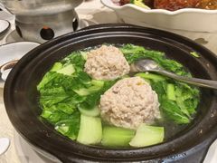 -丁老爷子苏香圆