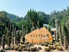 -深圳仙湖植物园