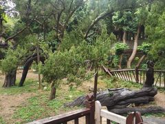 -草庵摩尼教遗址公园