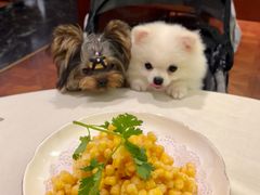 -蝶园·装修中(BFC外滩金融中心店)