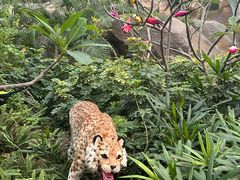 -杭州开元森泊度假乐园