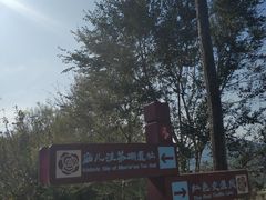 -阳台山自然风景区