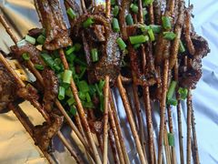 鳝鱼-晓靖轩烧烤(沙河风情店)