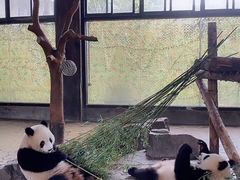 -野生动物园-停车场