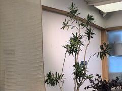 -七色云蔬食(喜邻里店)