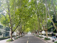 -四川农业大学(雅安校区)