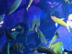 -沈阳海洋探索中心