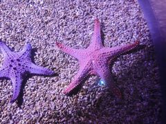 -哈尔滨波塞冬海底世界