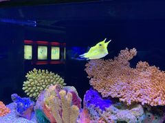 -上海海洋水族馆