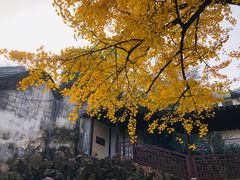 -无锡惠山寺