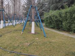 -木塔寺遗址生态公园