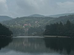 -庐山风景区花径公园