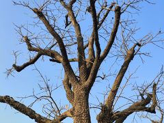 -汉长安城未央宫国家考古遗址公园