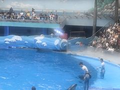 -海合安成都极地海洋公园