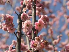-陕西省西安植物园