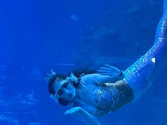 -太平洋海底世界