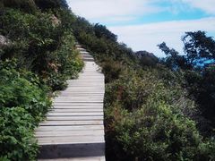 -白草畔自然风景区