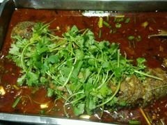 -新珠城鱼坊(龙湖店)