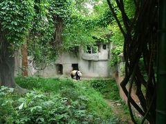 -西安秦岭野生动物园