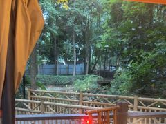 -二荆条·蜀鲜汇城市森林火锅