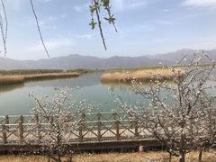 -野鸭湖国家湿地公园