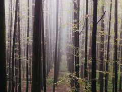-山王坪喀斯特国家生态公园